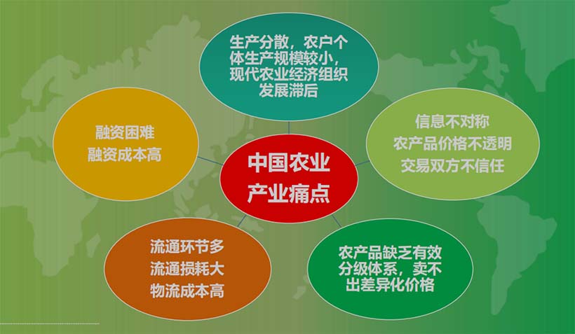 產(chǎn)業(yè)分析：中國農(nóng)業(yè)的5個關鍵問題